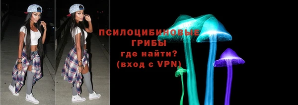 шишки Краснослободск