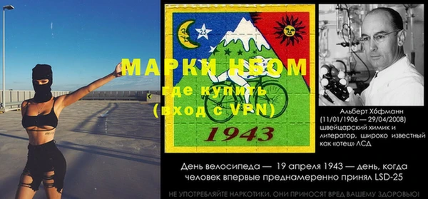 стаф Коряжма