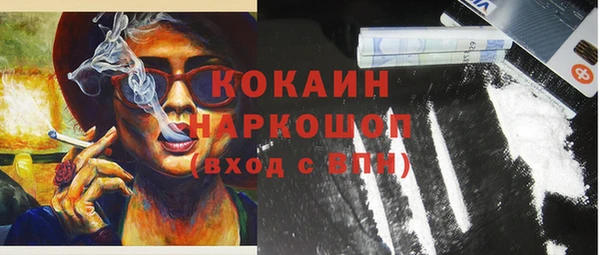шишки Краснослободск