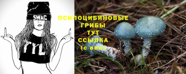 не бодяженный Корсаков