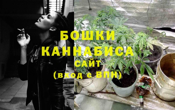 стаф Коряжма