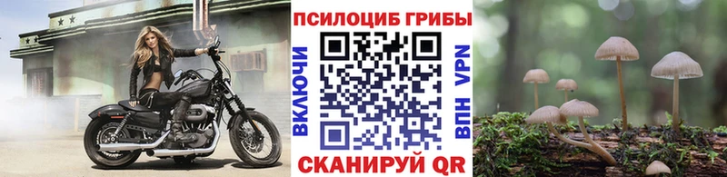 купить закладку  Чебаркуль  Псилоцибиновые грибы мухоморы 