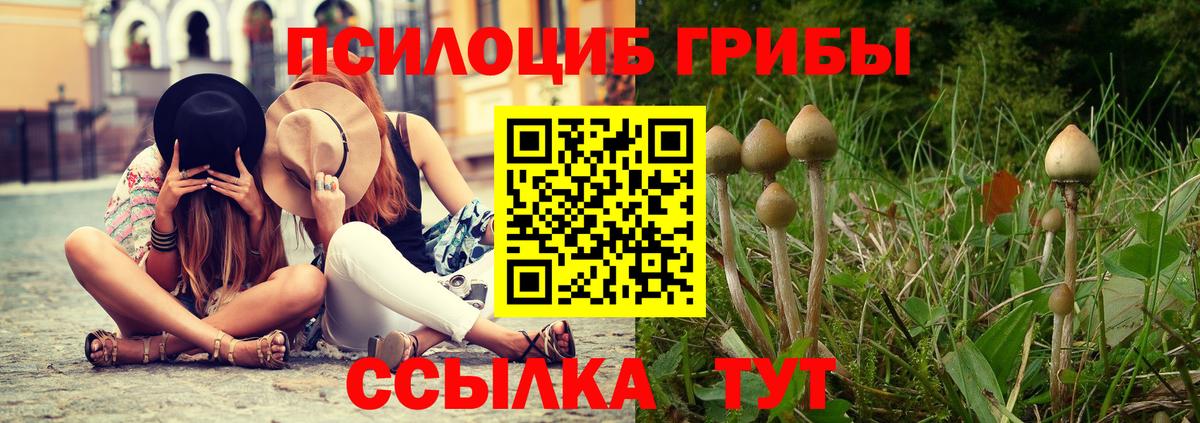 Псилоцибиновые грибы прущие грибы  Вход с VPN  Чебаркуль 