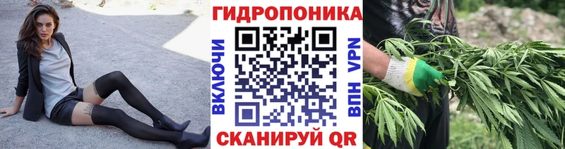Бошки Шишки конопля  blacksprut ссылка  Чебаркуль  как найти закладки 